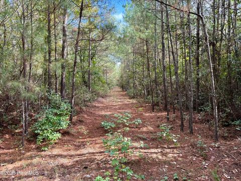 Tiny photo for 0 Atkinson Cemetery Road, Atkinson, NC 28421 (MLS # 100536662)