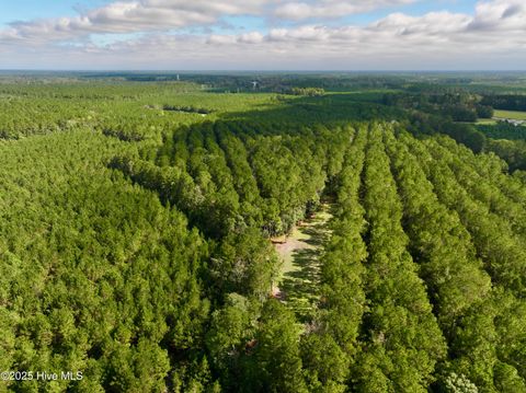 Tiny photo for 0 Atkinson Cemetery Road, Atkinson, NC 28421 (MLS # 100536662)