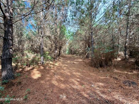 Tiny photo for 0 Atkinson Cemetery Road, Atkinson, NC 28421 (MLS # 100536662)