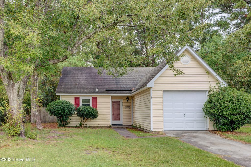 Photo of 800 Deer Haven Court, Wilmington, NC 28409 (MLS # 100530285)