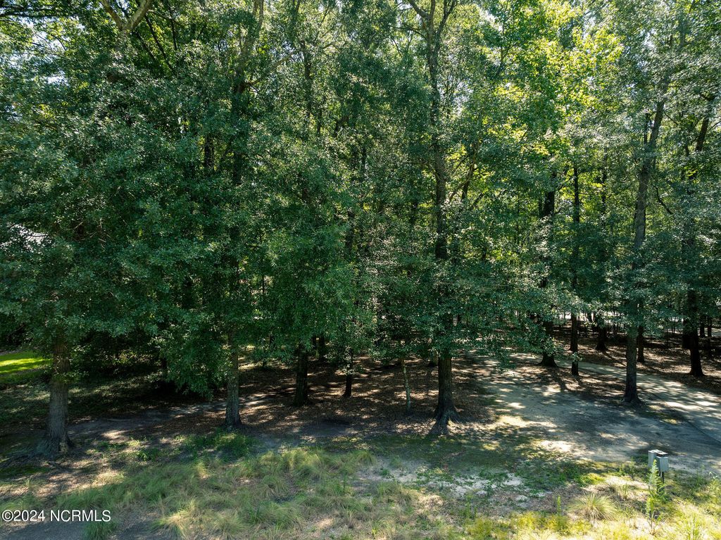 Photo of 105 Legacy Oaks Drive, Wallace, NC 28466 (MLS # 100434128)