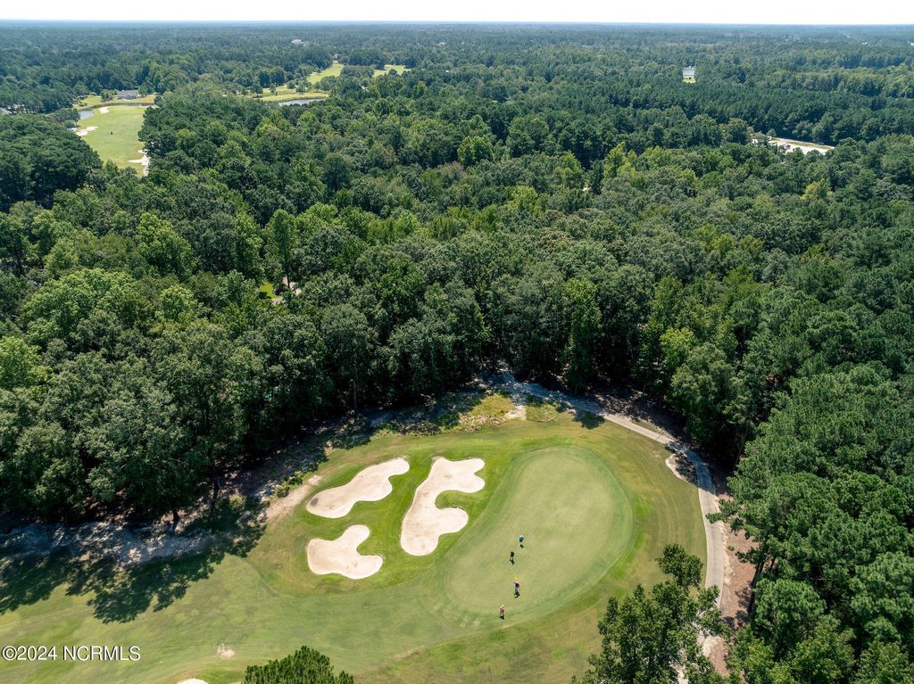 Photo of 105 Legacy Oaks Drive, Wallace, NC 28466 (MLS # 100434128)