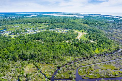 Tiny photo for 351 Landon Lane, Sneads Ferry, NC 28460 (MLS # 100541100)