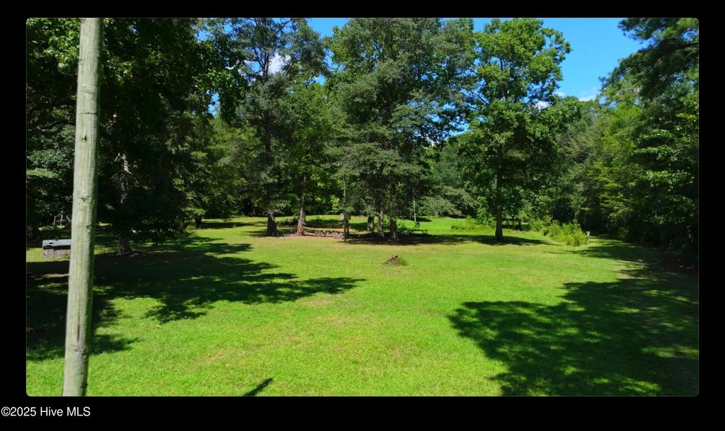 Photo of 1309 Mallory Buck Road, Gates, NC 27937 (MLS # 100528222)