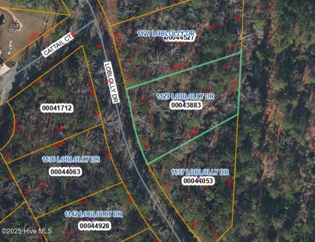 Photo of 1129 Loblolly Drive, Vass, NC 28394 (MLS # 100487137)