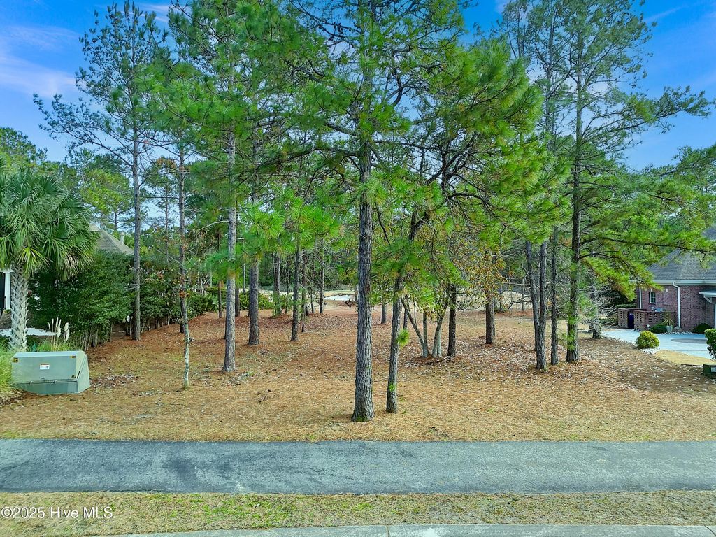 Photo of 6428 Castlebrook Way SW, Ocean Isle Beach, NC 28469 (MLS # 100541802)