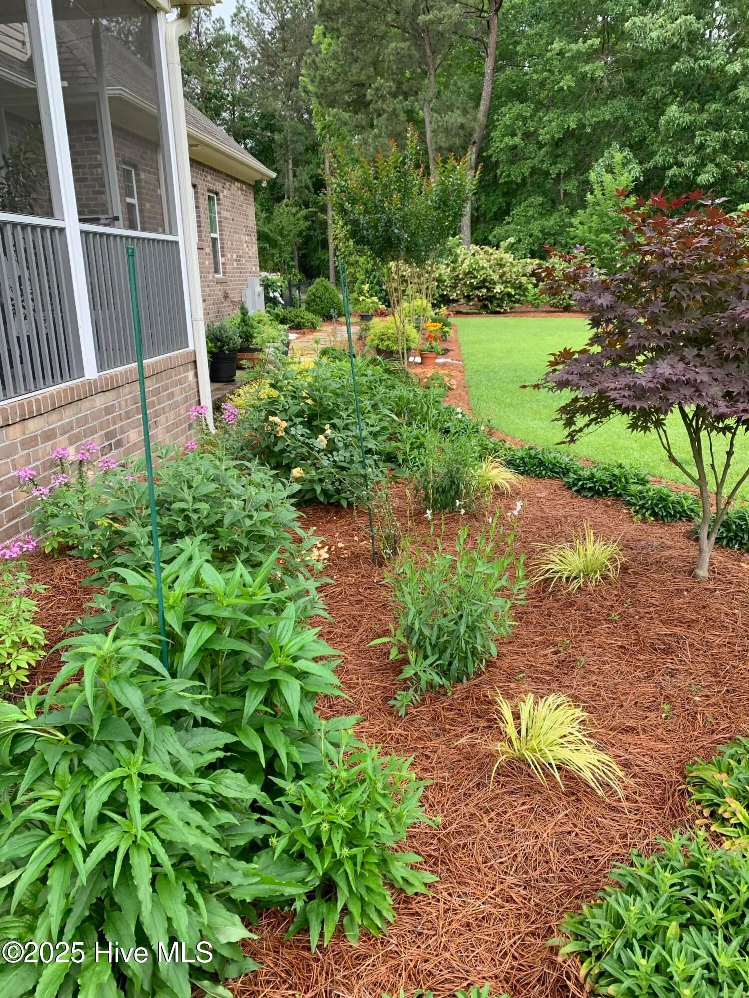 Goldsboro, North Carolina 27530, United States, 4 Bedrooms Bedrooms, ,3 BathroomsBathrooms,Residential,Pending,188480