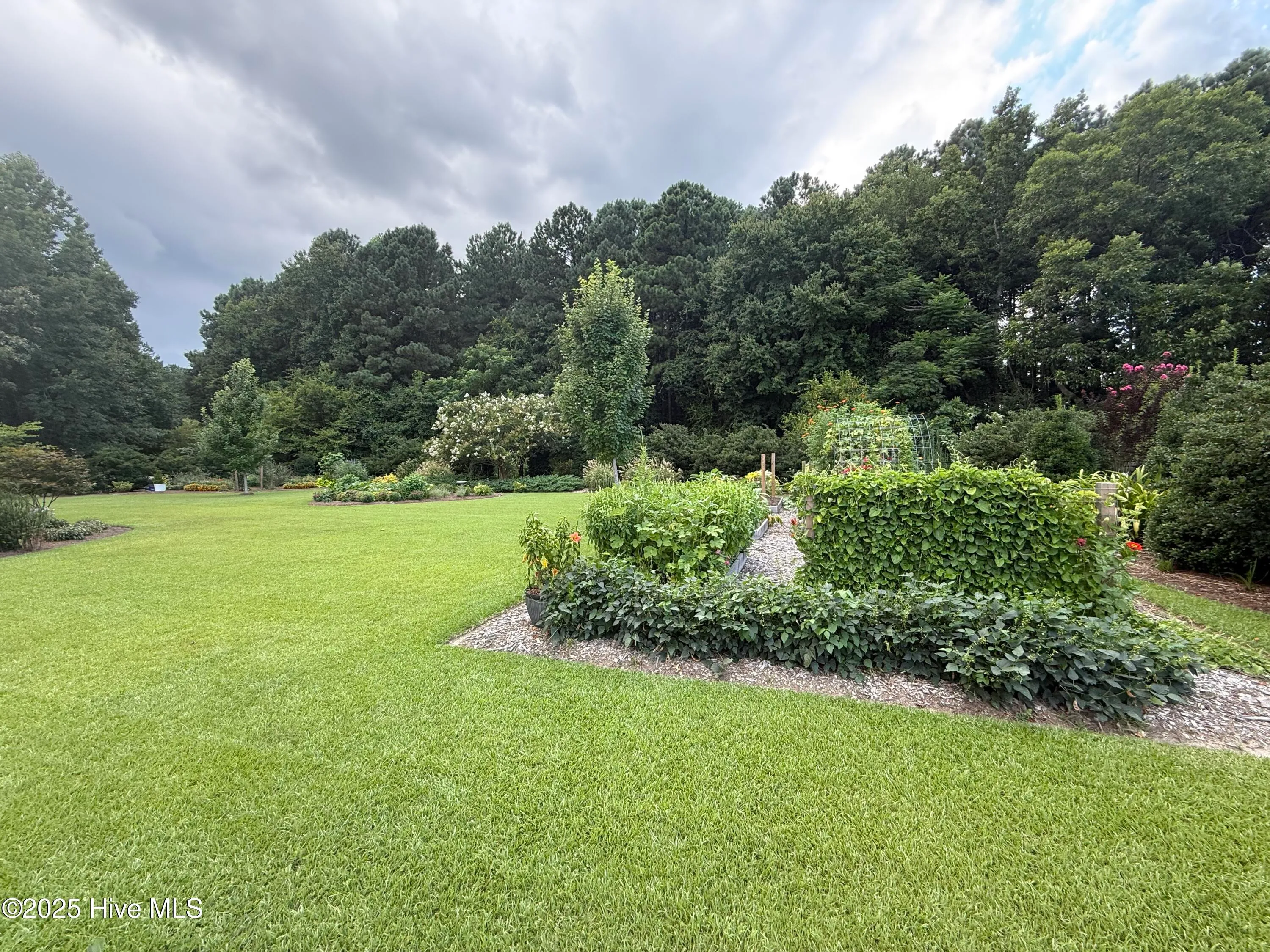 Goldsboro, North Carolina 27530, United States, 4 Bedrooms Bedrooms, ,3 BathroomsBathrooms,Residential,Pending,188480