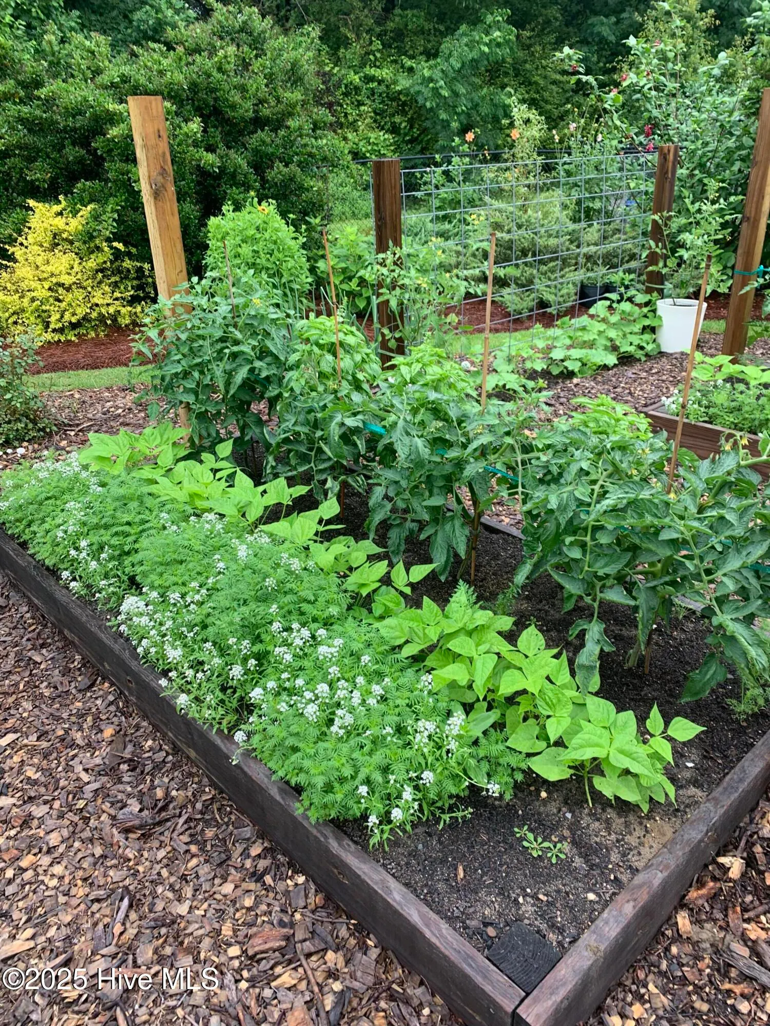 Goldsboro, North Carolina 27530, United States, 4 Bedrooms Bedrooms, ,3 BathroomsBathrooms,Residential,Pending,188480