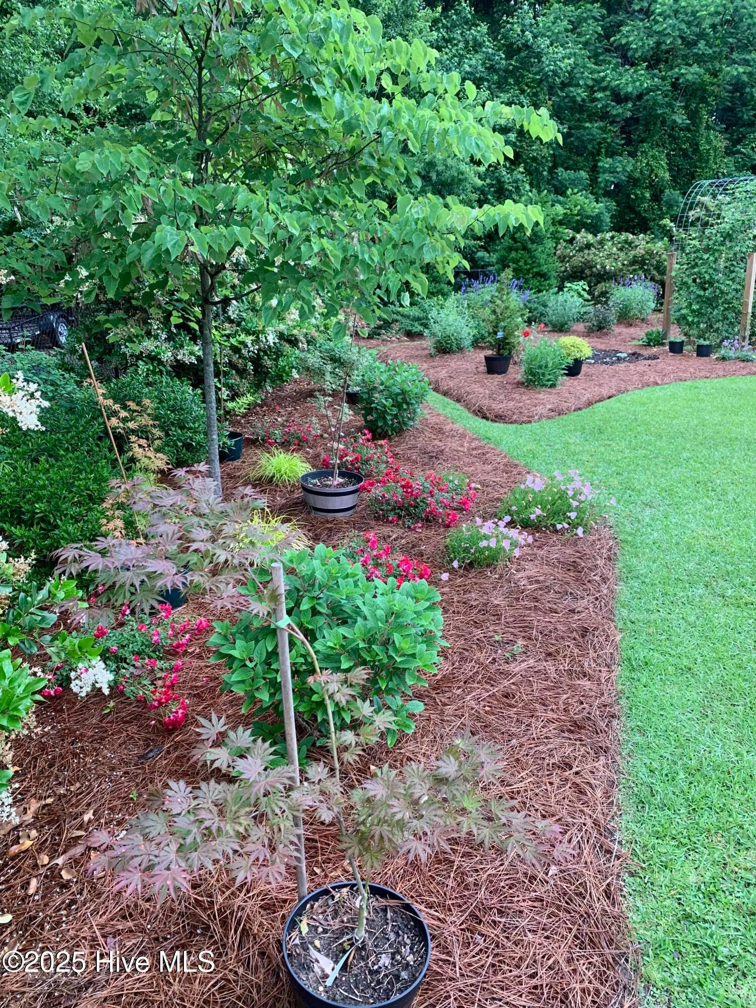 Goldsboro, North Carolina 27530, United States, 4 Bedrooms Bedrooms, ,3 BathroomsBathrooms,Residential,Pending,188480