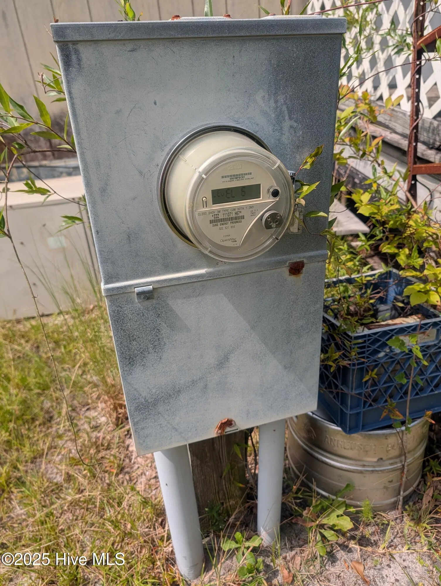 Richlands, North Carolina 28574, United States, ,Land,Active,217281