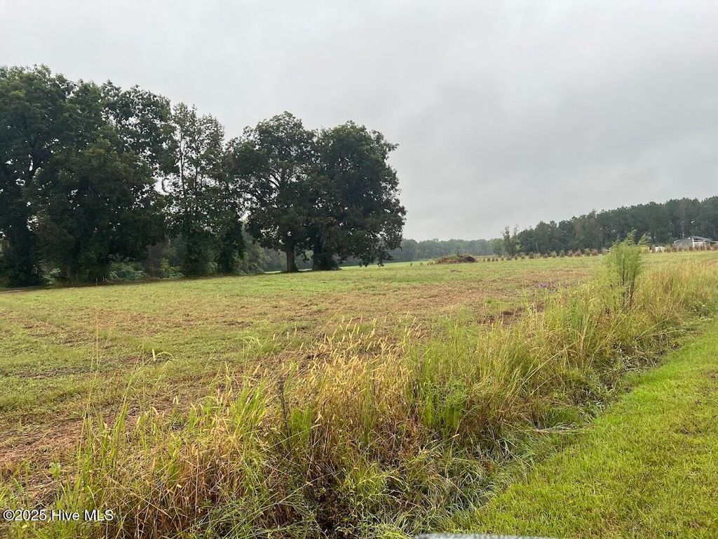 Photo of 3564 Bill Hooks Lot 4 Road, Clarkton, NC 28433 (MLS # 100534762)