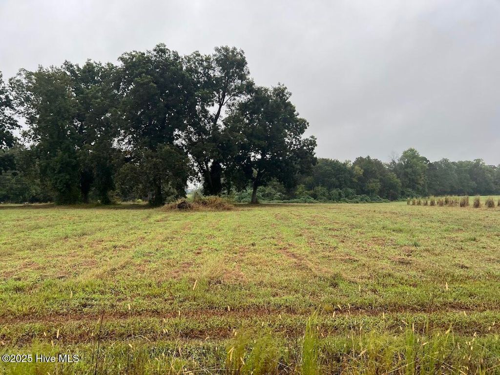 Photo of 3564 Bill Hooks Lot 4 Road, Clarkton, NC 28433 (MLS # 100534762)