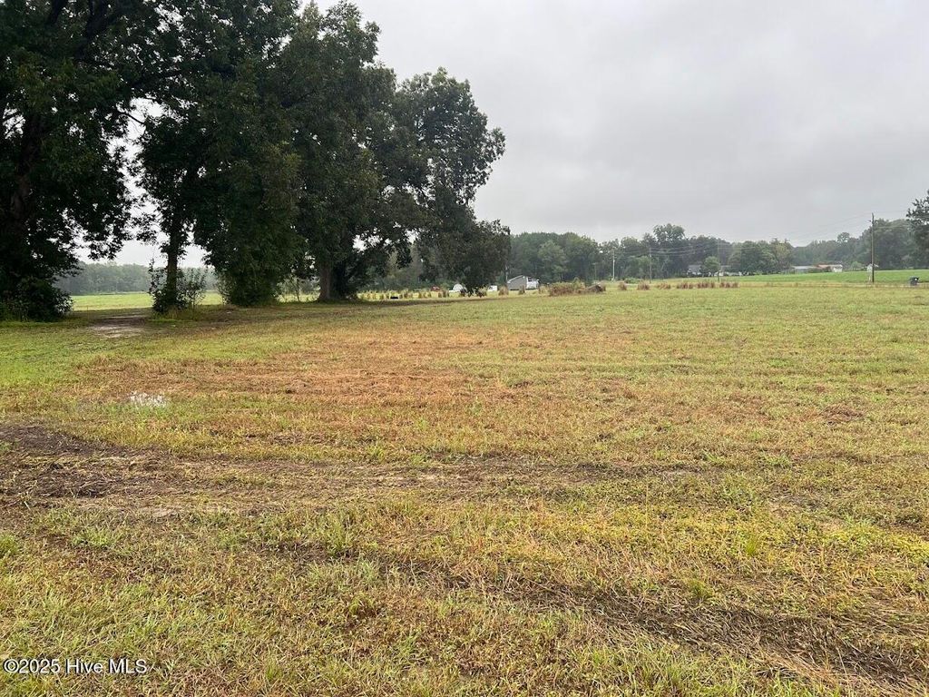 Photo of 3564 Bill Hooks Lot 4 Road, Clarkton, NC 28433 (MLS # 100534762)