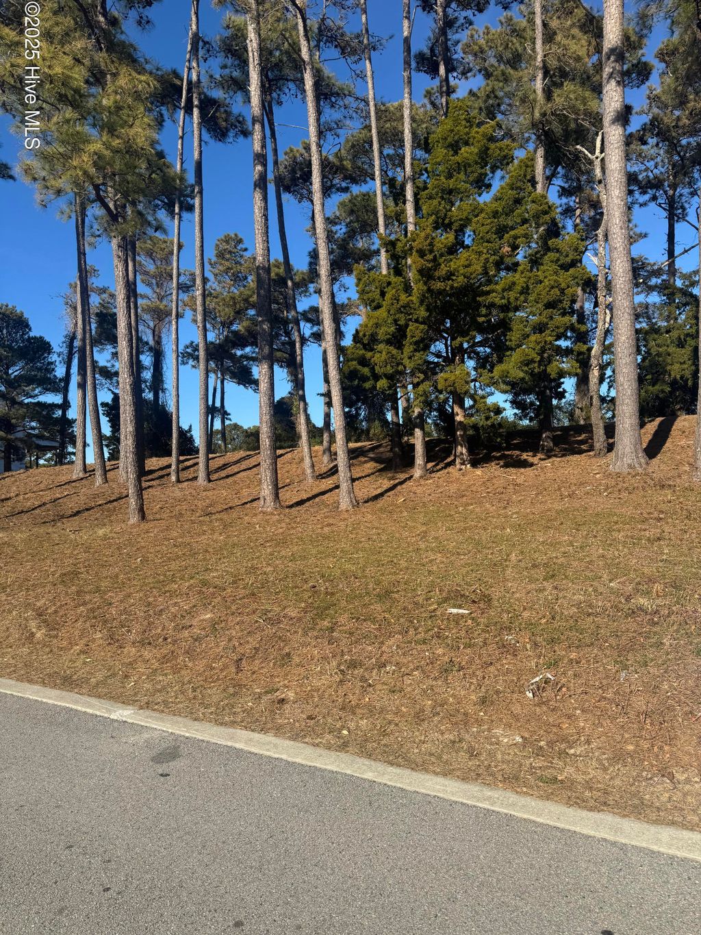 Photo of 4016 Barnes Bluff Drive SE, Southport, NC 28461 (MLS # 100488336)