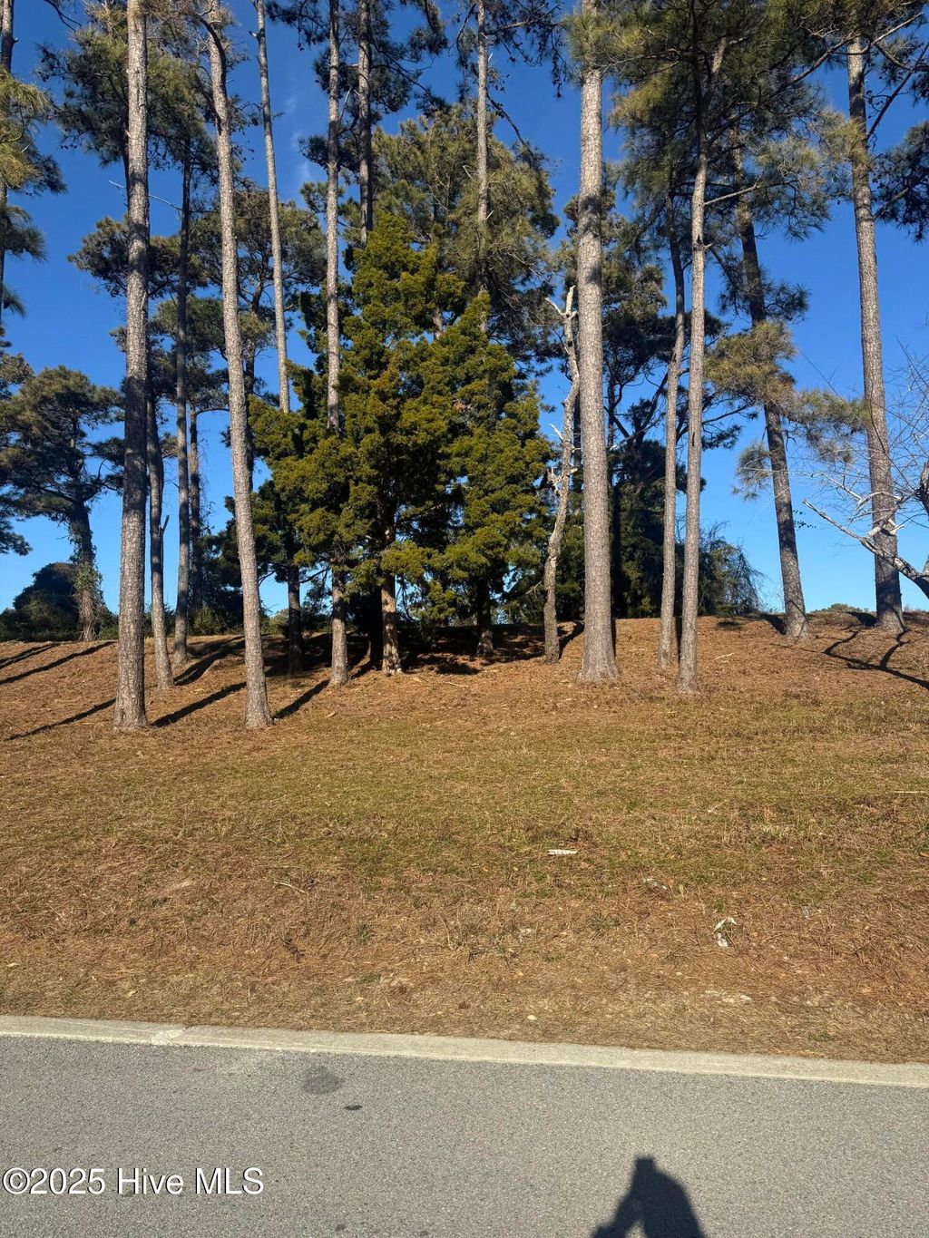 Photo of 4016 Barnes Bluff Drive SE, Southport, NC 28461 (MLS # 100488336)