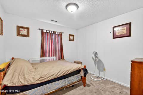 Tiny photo for 227 Bannermans Mill Road, Richlands, NC 28574 (MLS # 100535680)