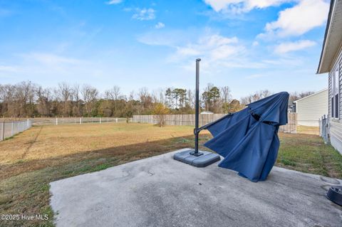 Tiny photo for 914 Haw Branch Road, Beulaville, NC 28518 (MLS # 100543260)