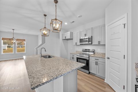 Tiny photo for 914 Haw Branch Road, Beulaville, NC 28518 (MLS # 100543260)