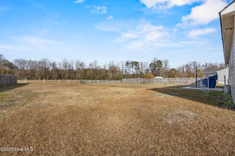 Tiny photo for 914 Haw Branch Road, Beulaville, NC 28518 (MLS # 100543260)