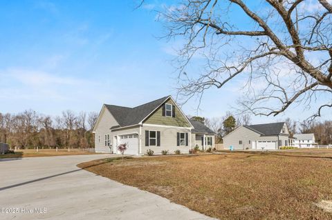 Tiny photo for 914 Haw Branch Road, Beulaville, NC 28518 (MLS # 100543260)