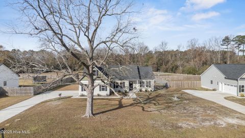 Tiny photo for 914 Haw Branch Road, Beulaville, NC 28518 (MLS # 100543260)