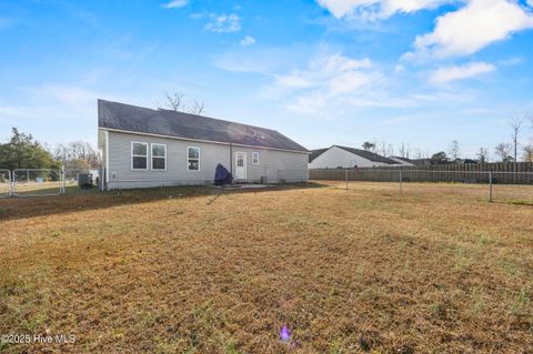 Tiny photo for 914 Haw Branch Road, Beulaville, NC 28518 (MLS # 100543260)
