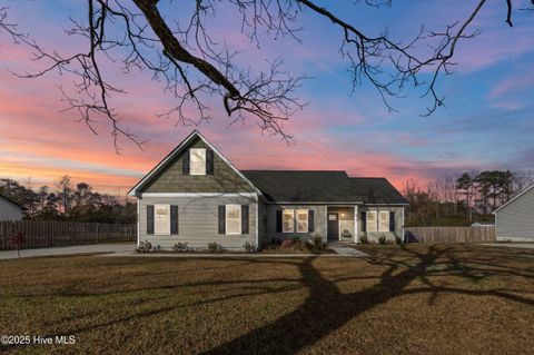 Tiny photo for 914 Haw Branch Road, Beulaville, NC 28518 (MLS # 100543260)