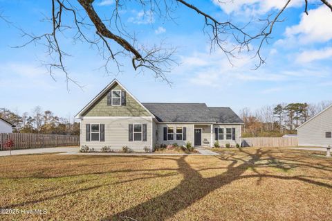 Photo of 914 Haw Branch Road, Beulaville, NC 28518 (MLS # 100543260)