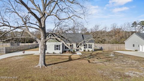Tiny photo for 914 Haw Branch Road, Beulaville, NC 28518 (MLS # 100543260)