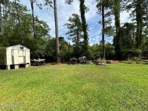 A home in Belhaven