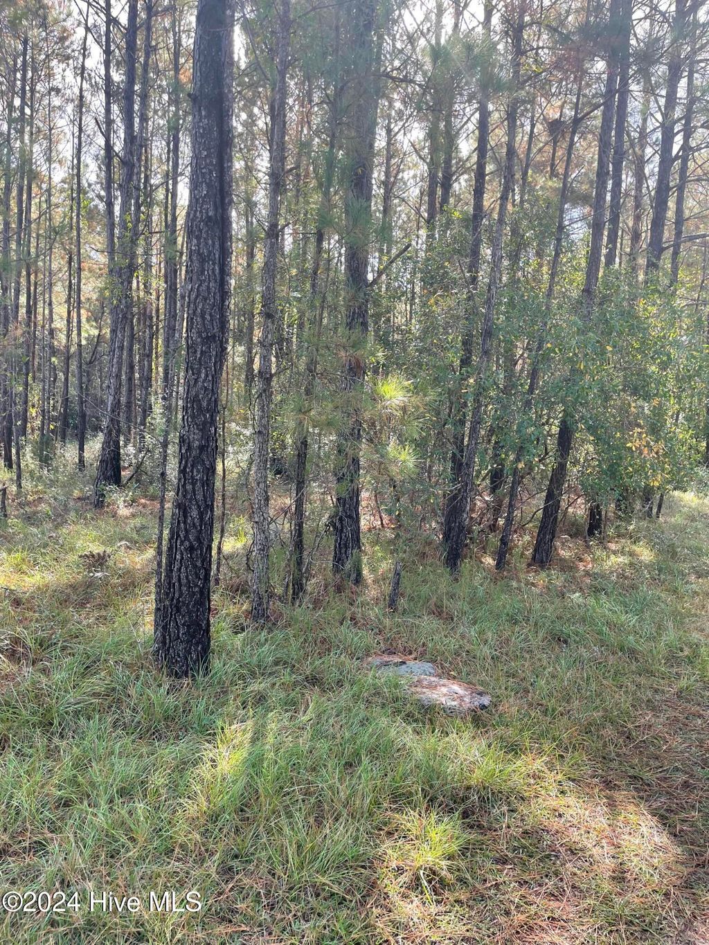 Photo of 2230 SW Red Bud Road, Supply, NC 28462 (MLS # 100476087)