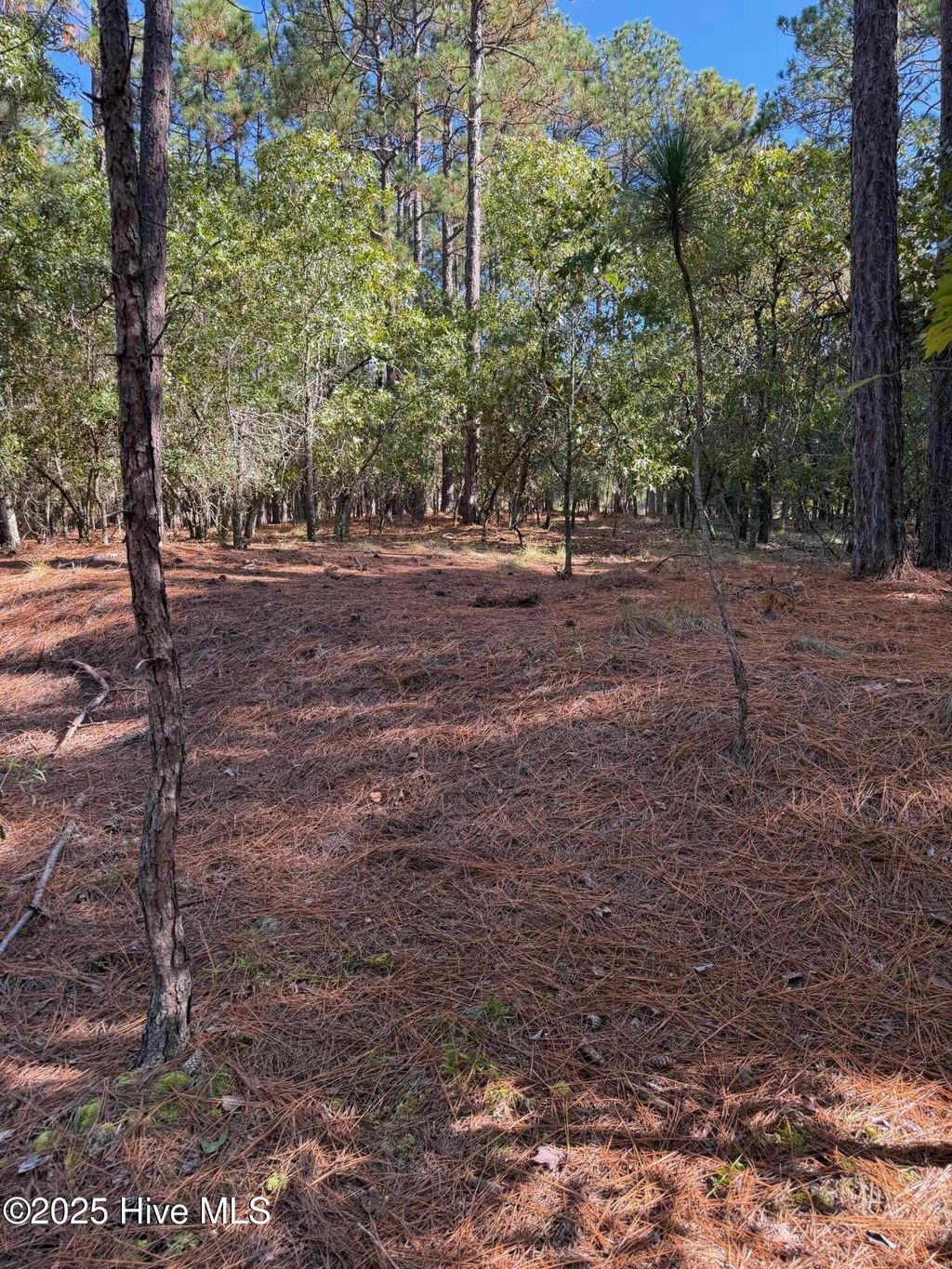 Photo of 108 Carrington Square, West End, NC 27376 (MLS # 100536971)