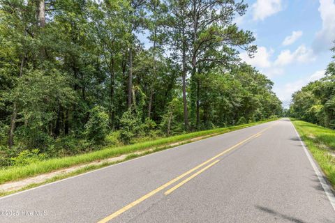 Tiny photo for 411 Croomsbridge Road, Burgaw, NC 28425 (MLS # 100524989)
