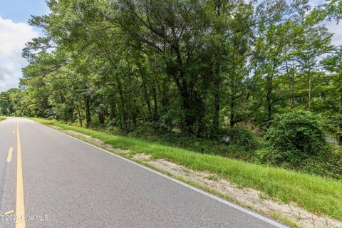 Tiny photo for 411 Croomsbridge Road, Burgaw, NC 28425 (MLS # 100524989)
