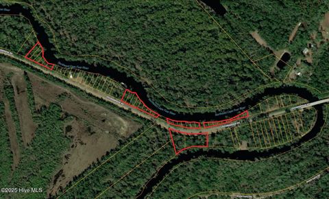 Tiny photo for 411 Croomsbridge Road, Burgaw, NC 28425 (MLS # 100524989)