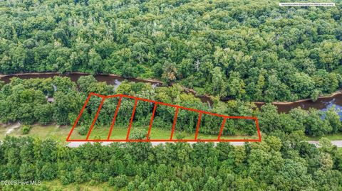 Tiny photo for 411 Croomsbridge Road, Burgaw, NC 28425 (MLS # 100524989)