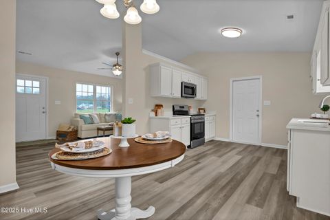 Tiny photo for 121 Starkys Creek Court, Maysville, NC 28555 (MLS # 100538446)