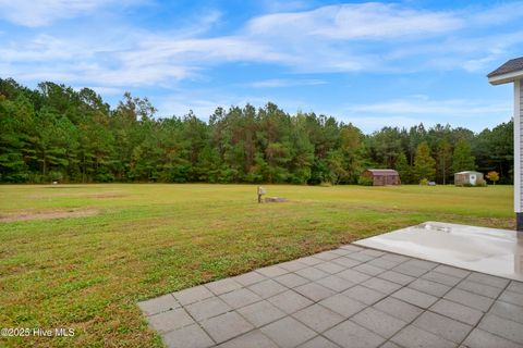 Tiny photo for 121 Starkys Creek Court, Maysville, NC 28555 (MLS # 100538446)