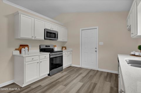 Tiny photo for 121 Starkys Creek Court, Maysville, NC 28555 (MLS # 100538446)