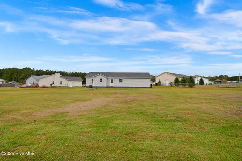 Tiny photo for 121 Starkys Creek Court, Maysville, NC 28555 (MLS # 100538446)