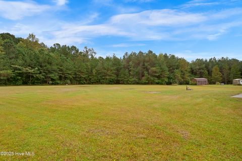 Tiny photo for 121 Starkys Creek Court, Maysville, NC 28555 (MLS # 100538446)