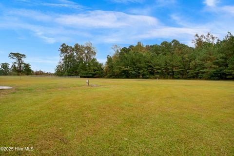 Tiny photo for 121 Starkys Creek Court, Maysville, NC 28555 (MLS # 100538446)