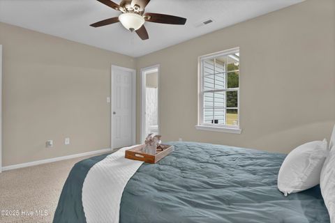 Tiny photo for 121 Starkys Creek Court, Maysville, NC 28555 (MLS # 100538446)