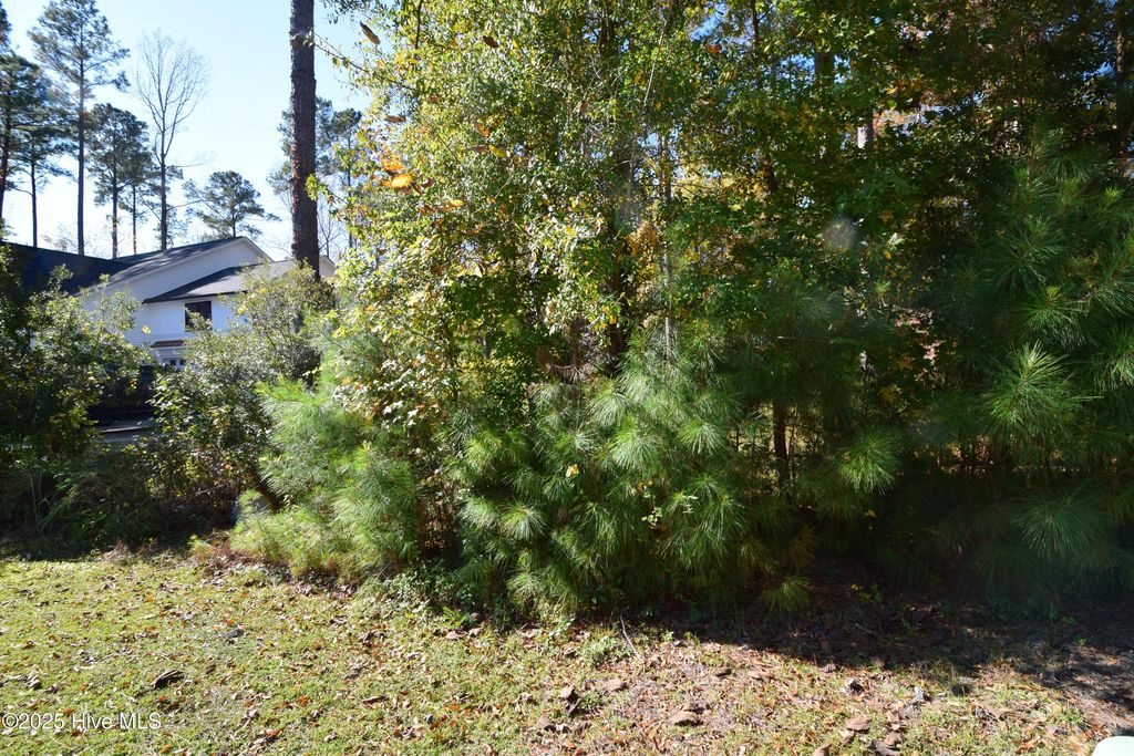 Photo of 1005 Alabaster Drive, New Bern, NC 28562 (MLS # 100540810)