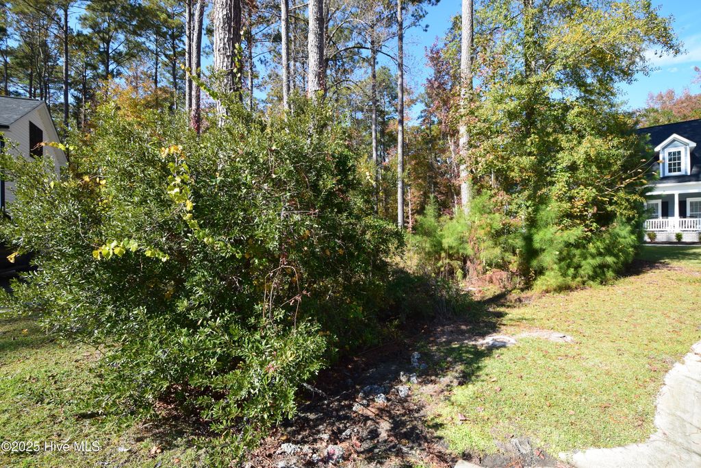 Photo of 1005 Alabaster Drive, New Bern, NC 28562 (MLS # 100540810)