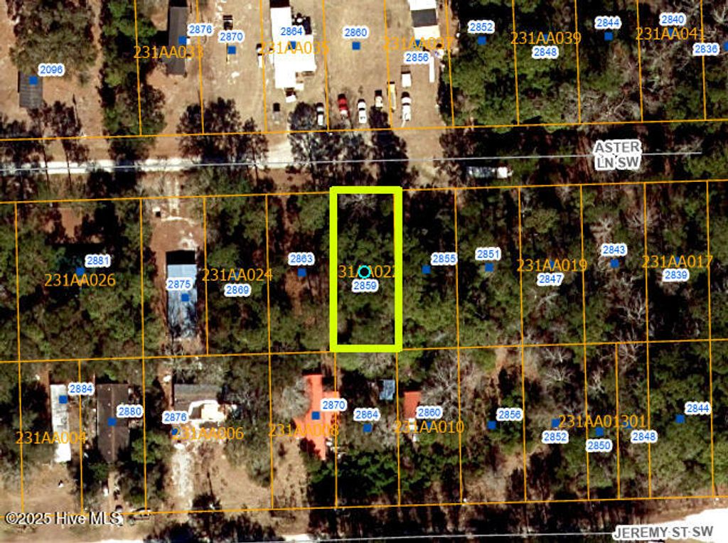 Photo of 2859 Aster Lane SW, Supply, NC 28462 (MLS # 100505457)