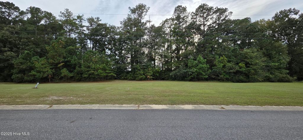 Photo of 710 Birch Road, Grifton, NC 28530 (MLS # 100538517)