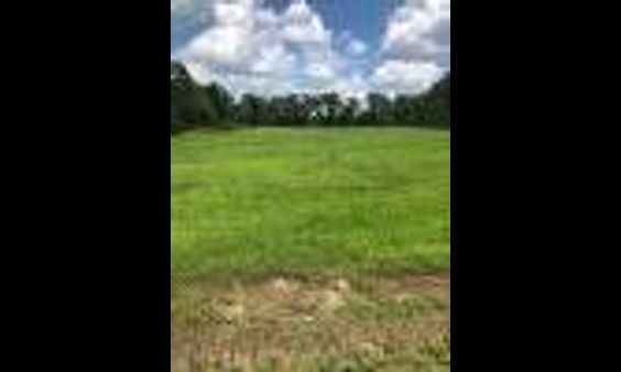 Vacant Land For Sale - 4739 Emma Cannon Road<br/> Ayden, NC 28513