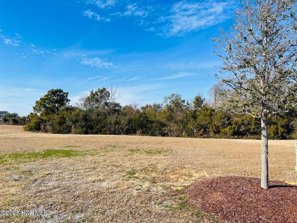 Photo of 603 Cannonsgate Drive, Newport, NC 28570 (MLS # 100499426)